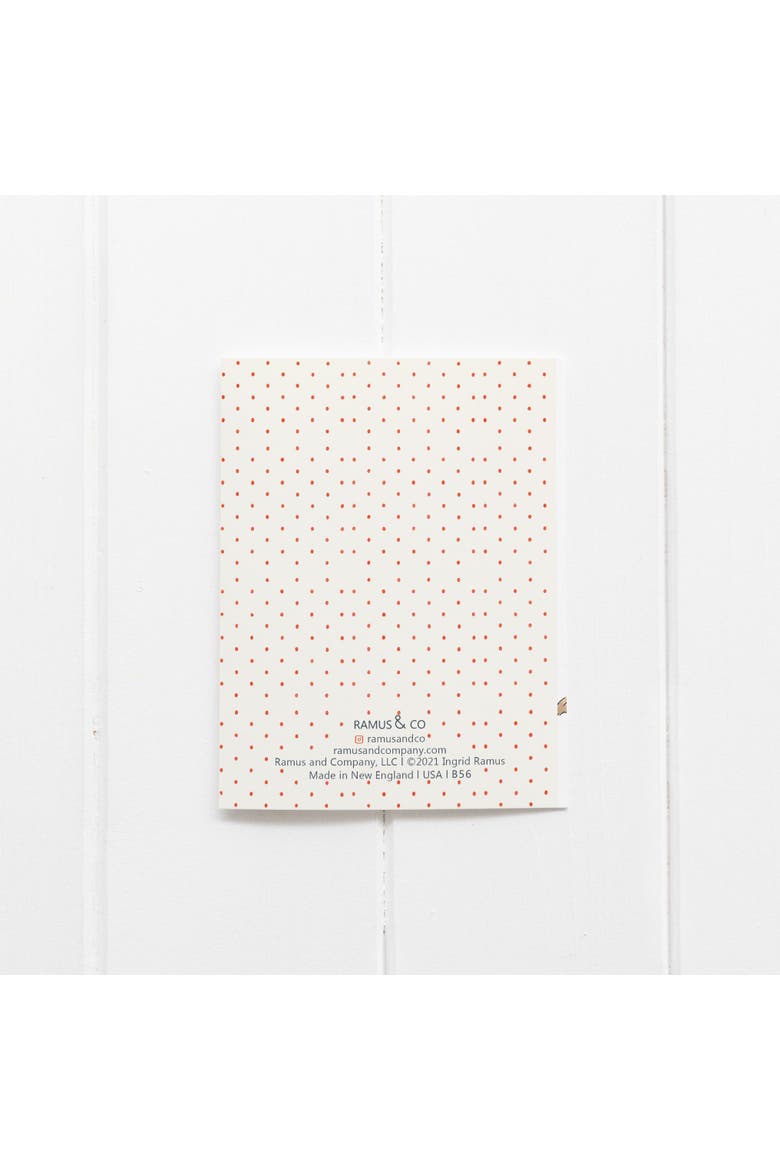 Birthday Greeting Card Singles and Packs, Alternate, color, Multi-Pack