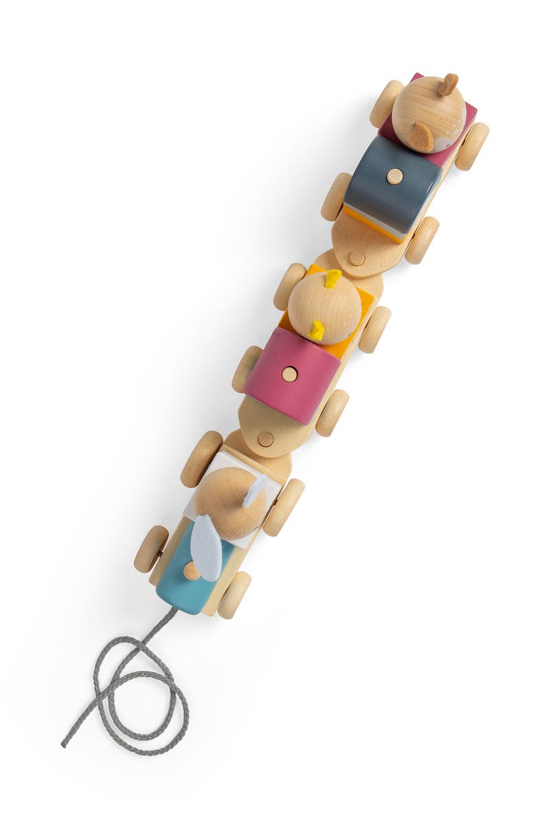 Bigjigs Toys FSC<sup>®</sup> Certified Activity Pull Along Train, Alternate, color, Multicoloured