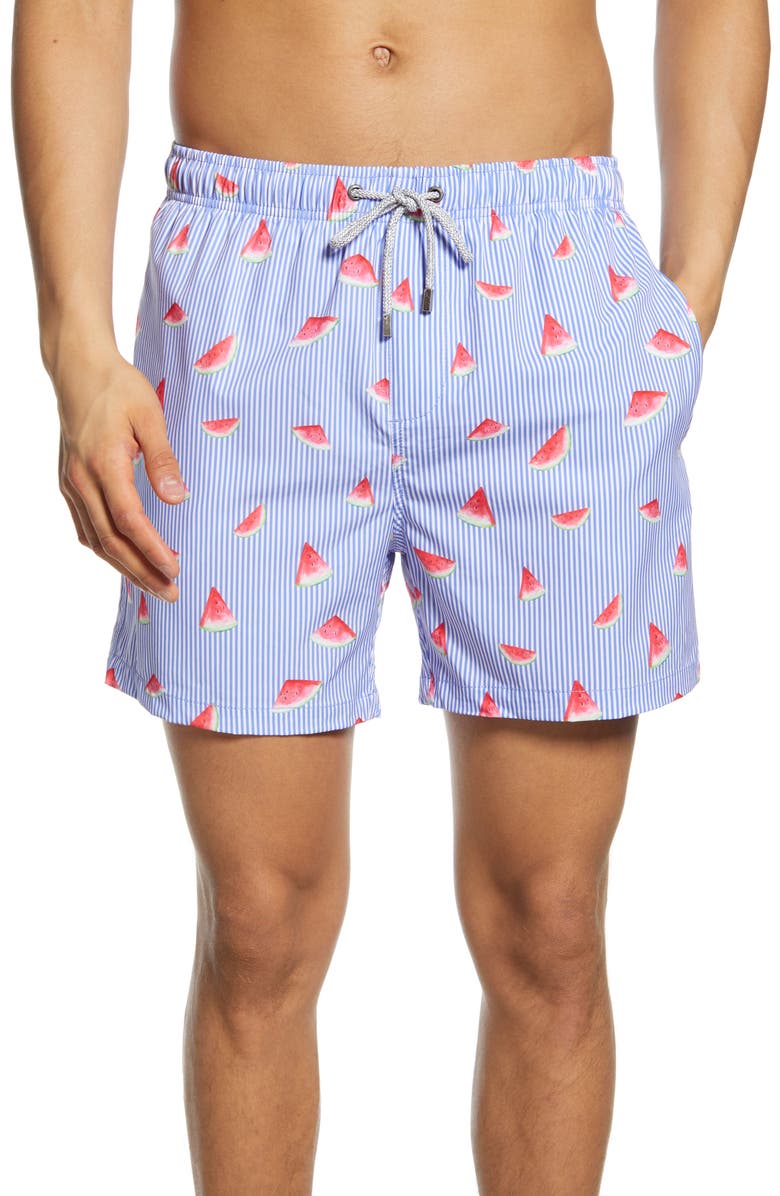 Vintage Summer Watermelon Swim Trunks | Nordstromrack