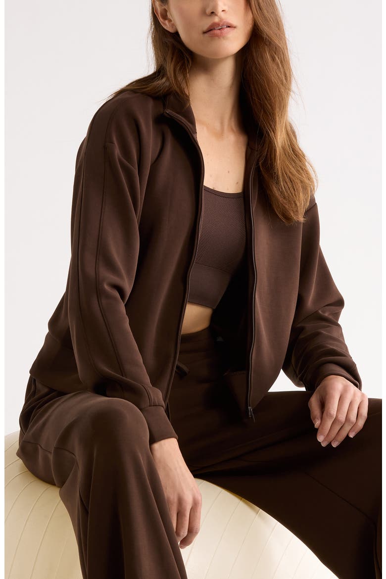 Ultra Soft Zip Jacket, Alternate, color, BROWN MOLE'