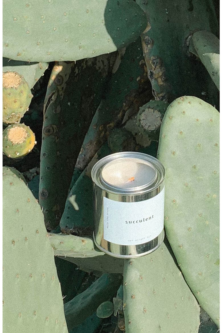 Scented 16-Ounce Candle, Alternate, color, SUCCULENT
