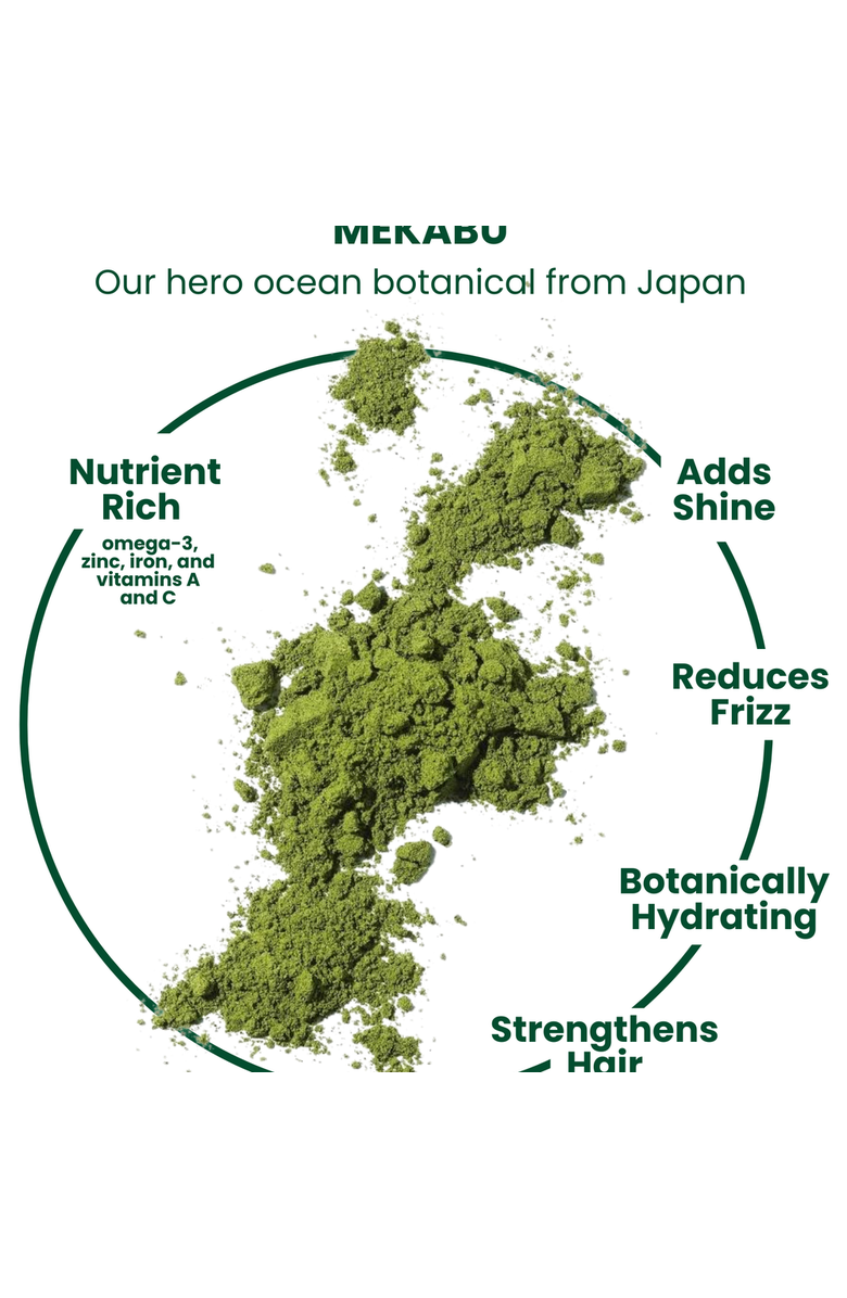 Masami Mekabu Hydrating Salon Size Shampoo, Alternate, color, NO COLOR