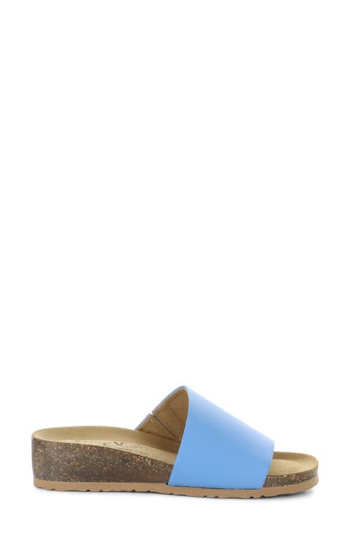 Bos. & Co. Lux Slide Sandal In French Blue