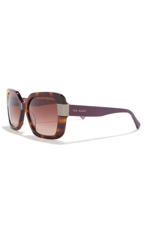 Ted Baker 56mm Gradient Square Sunglasses In Brown