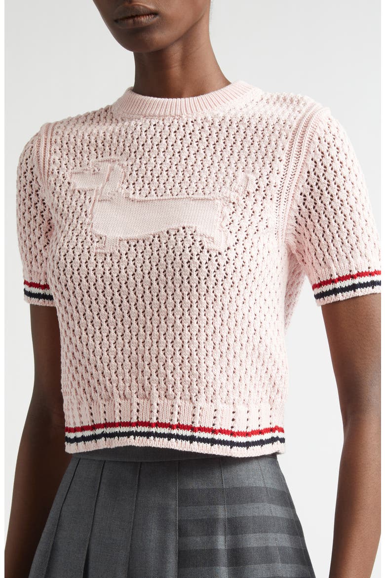Hector Icon Cotton Pointelle Stitch Crop Sweater, Alternate, color, LIGHT PINK
