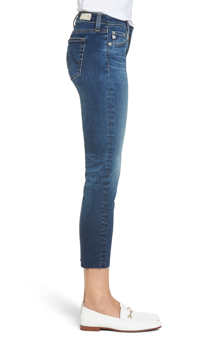 The Stilt Crop Skinny Jeans, Alternate, color, 5 YEARS INDIGO AVENUE