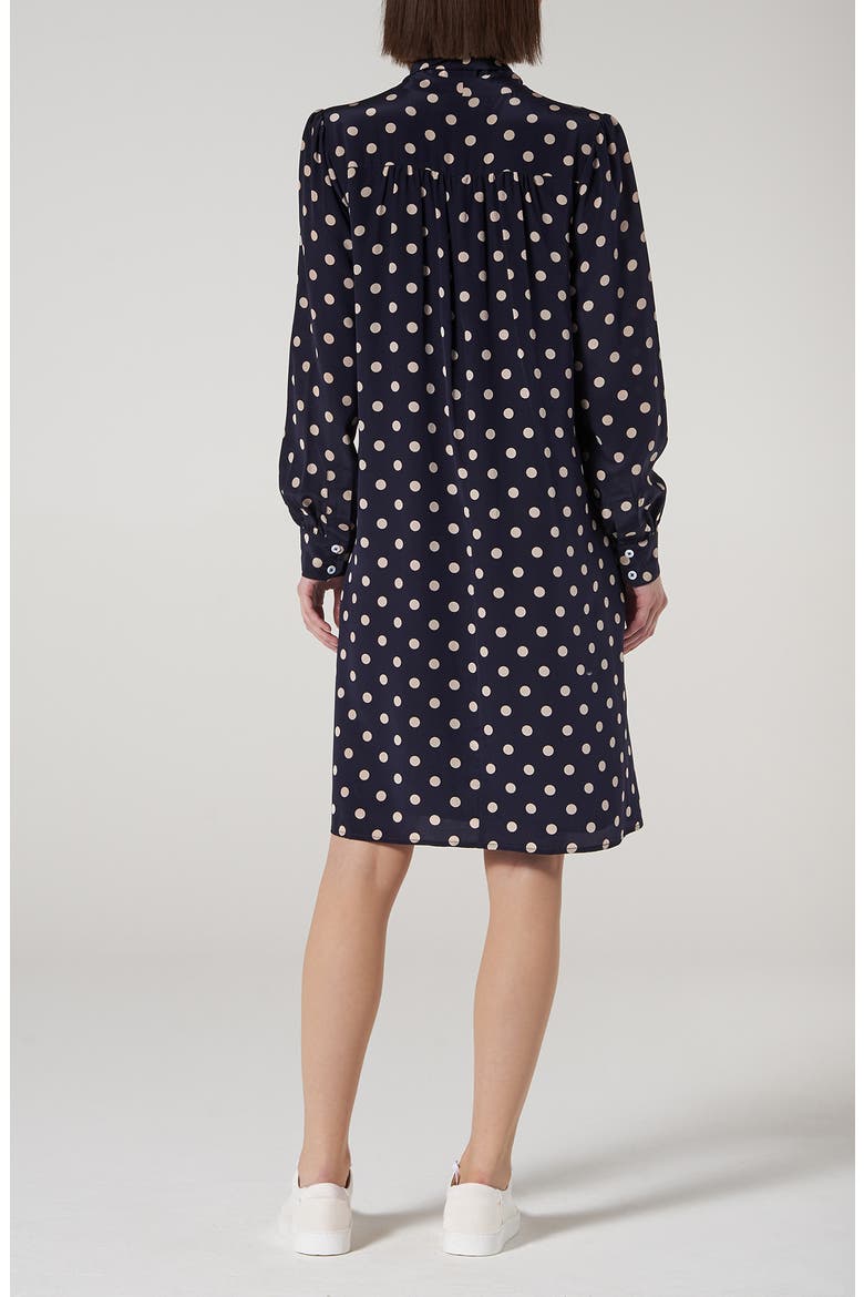 Evia Long Sleeve Silk Dress, Alternate, color, PRI-BLUE/WHITE