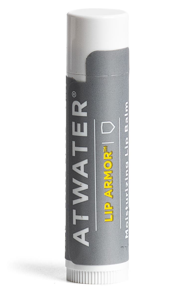 Lip Armor Moisturizing Lip Balm, Main, color, NO COLOR