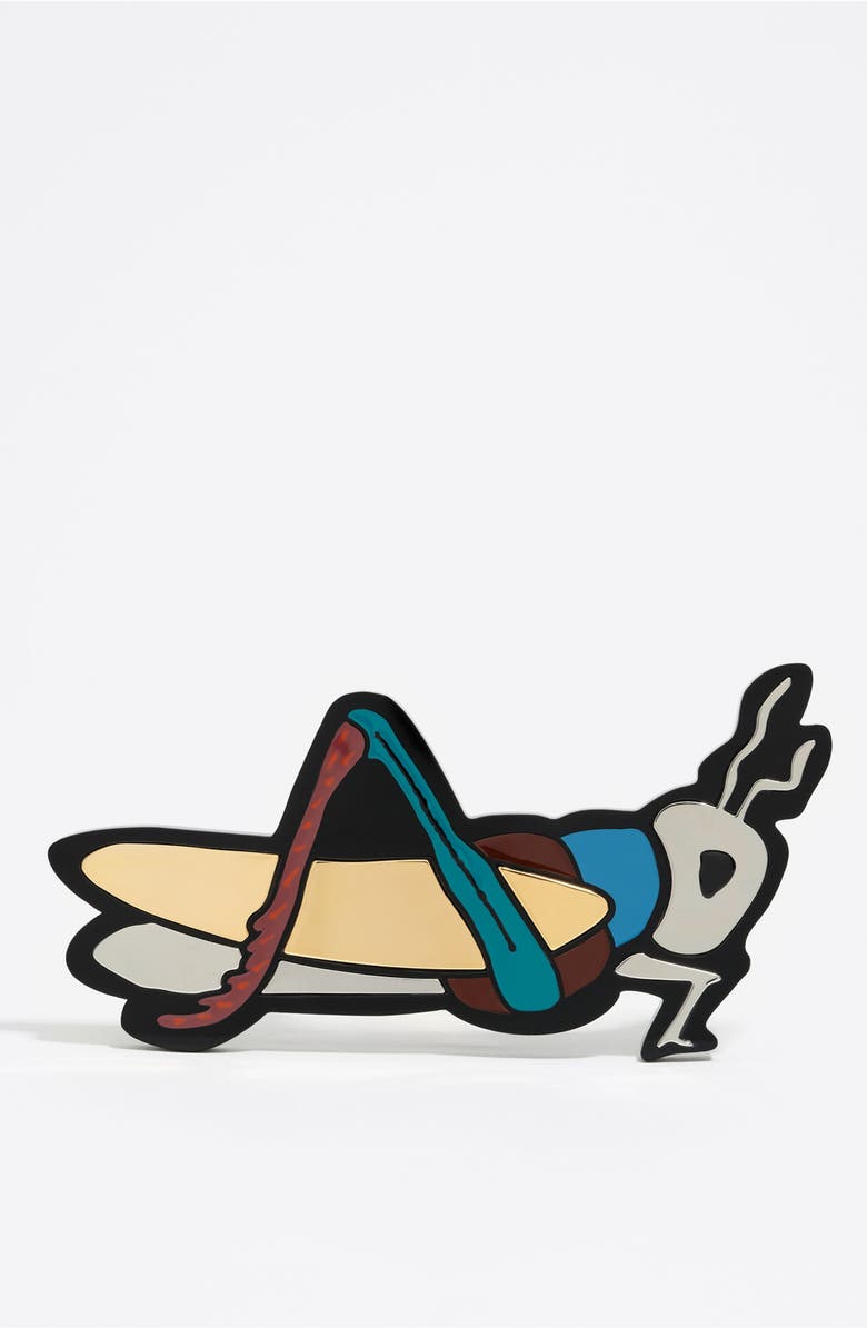 Bimba y Lola Resin Cricket Maxi Brooch, Main, color, 