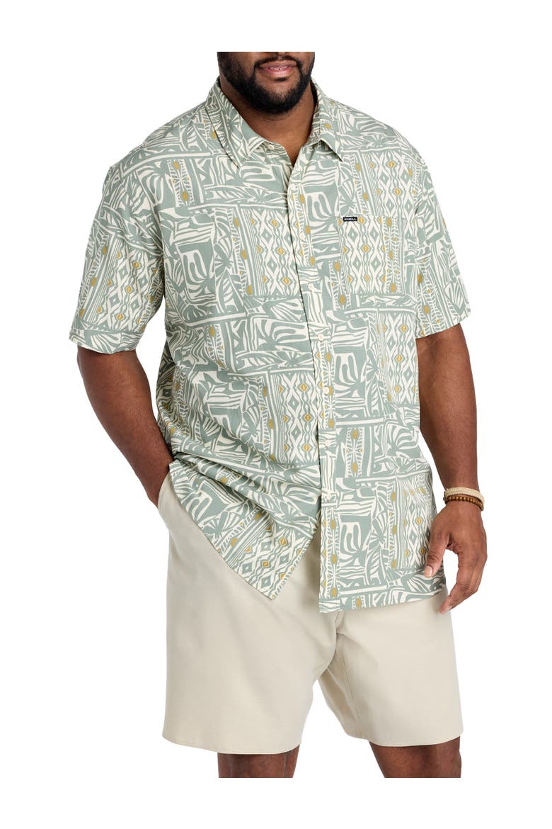 Big & Tall Oasis Sport Shirt, Main, color, SAGE
