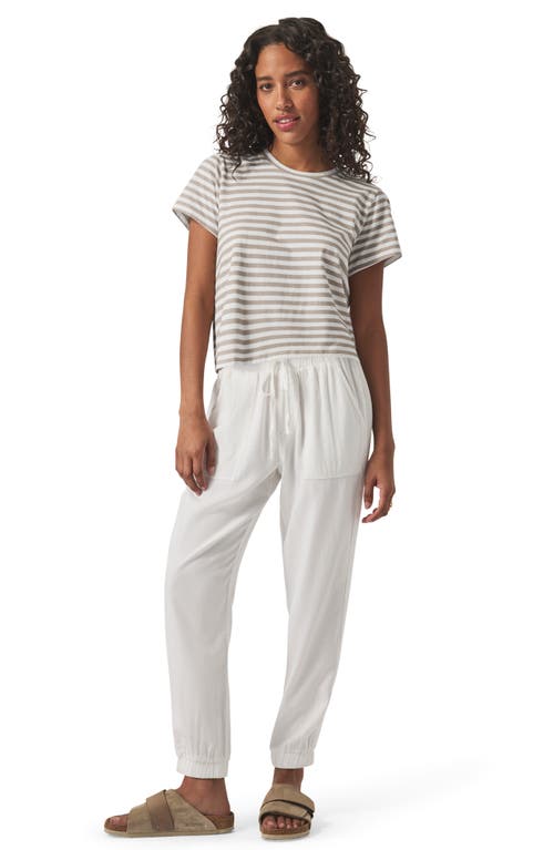 Splendid Louisa Stripe T-shirt In Fawn Stripe