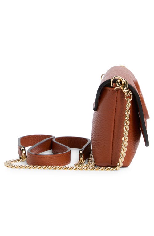 Valentino By Mario Valentino Lilou Dollaro Crossbody Bag In Brown