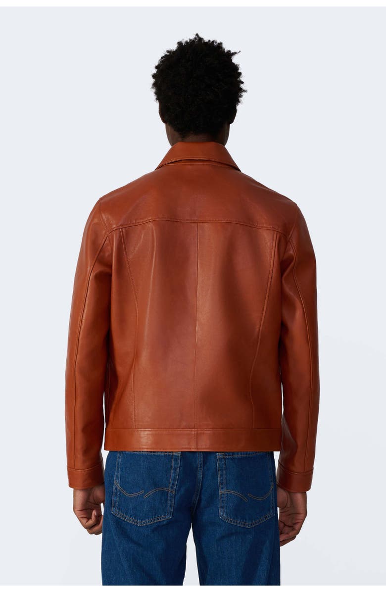 Furniq UK Jude Leather Jacket, Alternate, color, Whiskey Brown