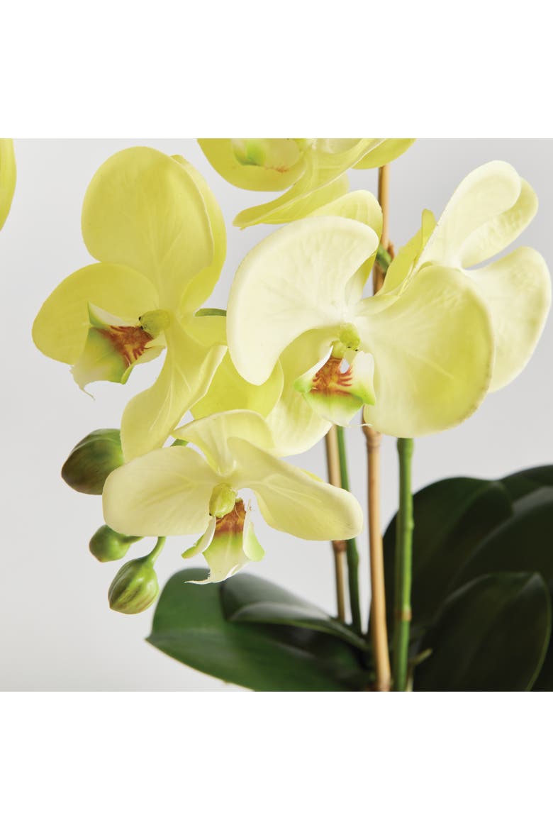 Phalaenopsis Orchid Artificial Plant Drop-In, Alternate, color, Yellow