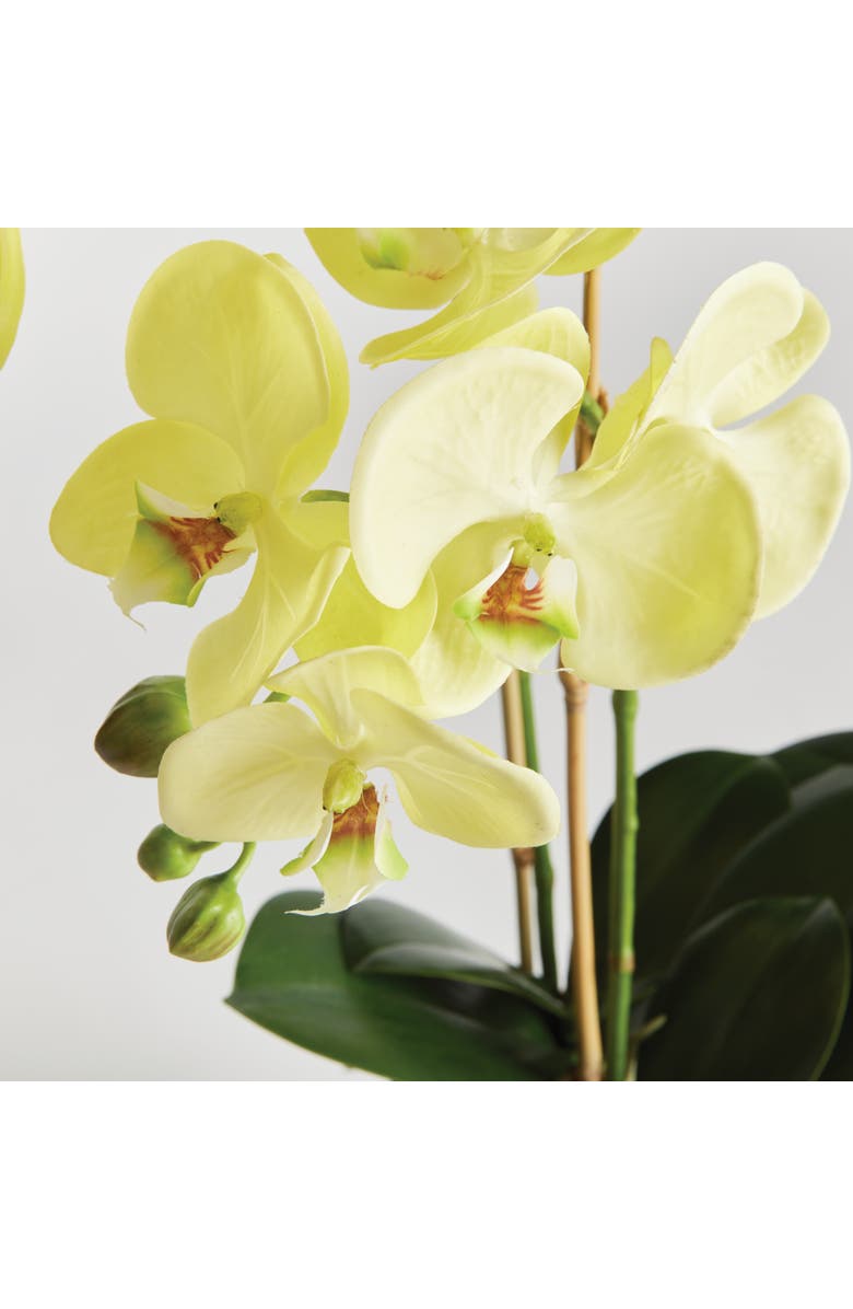 Napa Home & Garden Phalaenopsis Orchid Artificial Plant Drop-In, Alternate, color, Yellow