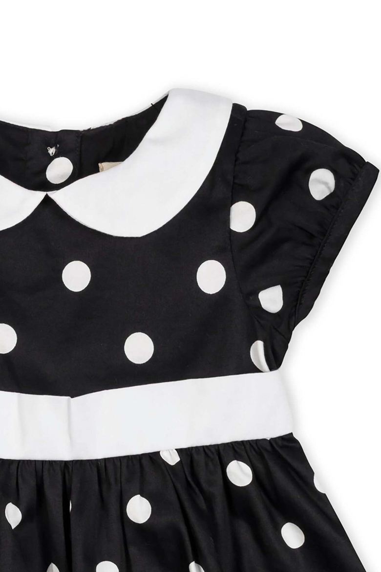 Baby Organic Peter Pan Collar Party Dress, Alternate, color, Black Polka Dot