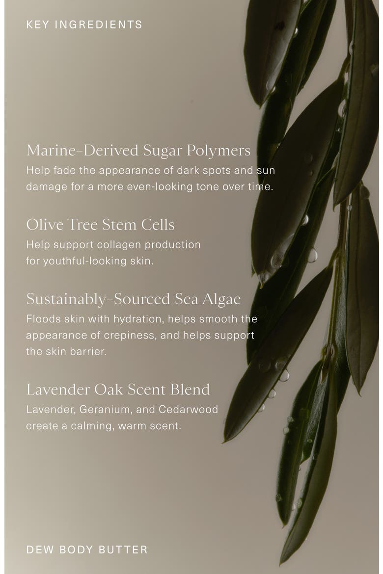 Dew Body Butter, Alternate, color, NO COLOR