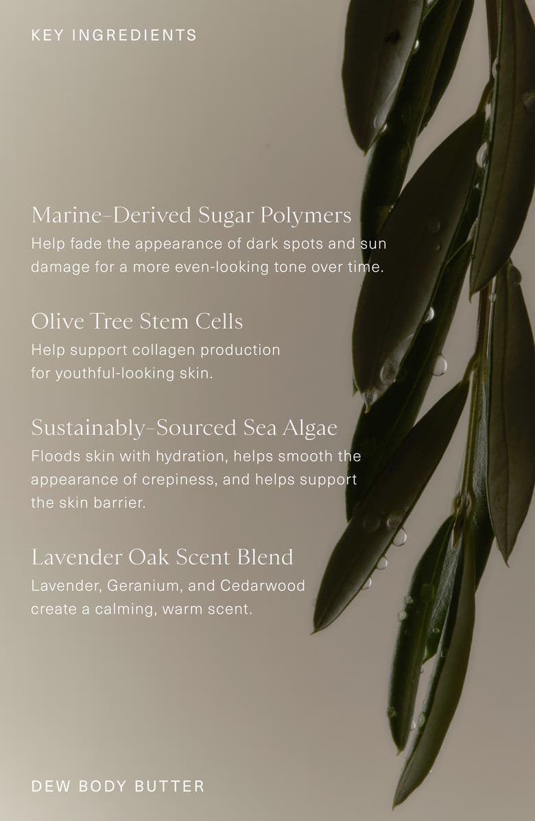 Oak Essentials Dew Body Butter, Alternate, color, 