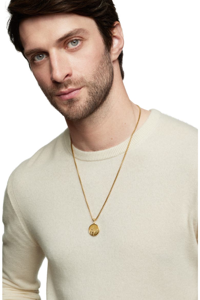 Water & Fire Amulet in 18K Yellow Gold, Alternate, color, 18K YELLOW GOLD