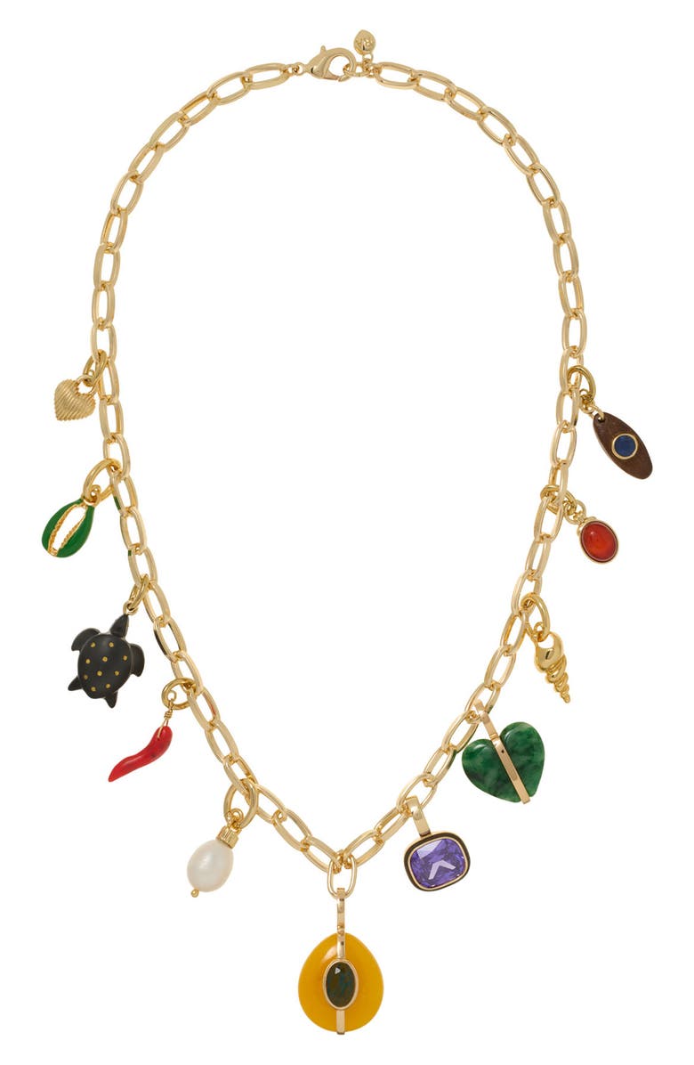 ROXANNE ASSOULIN The Multicharm Chain Necklace, Main, color, Multi
