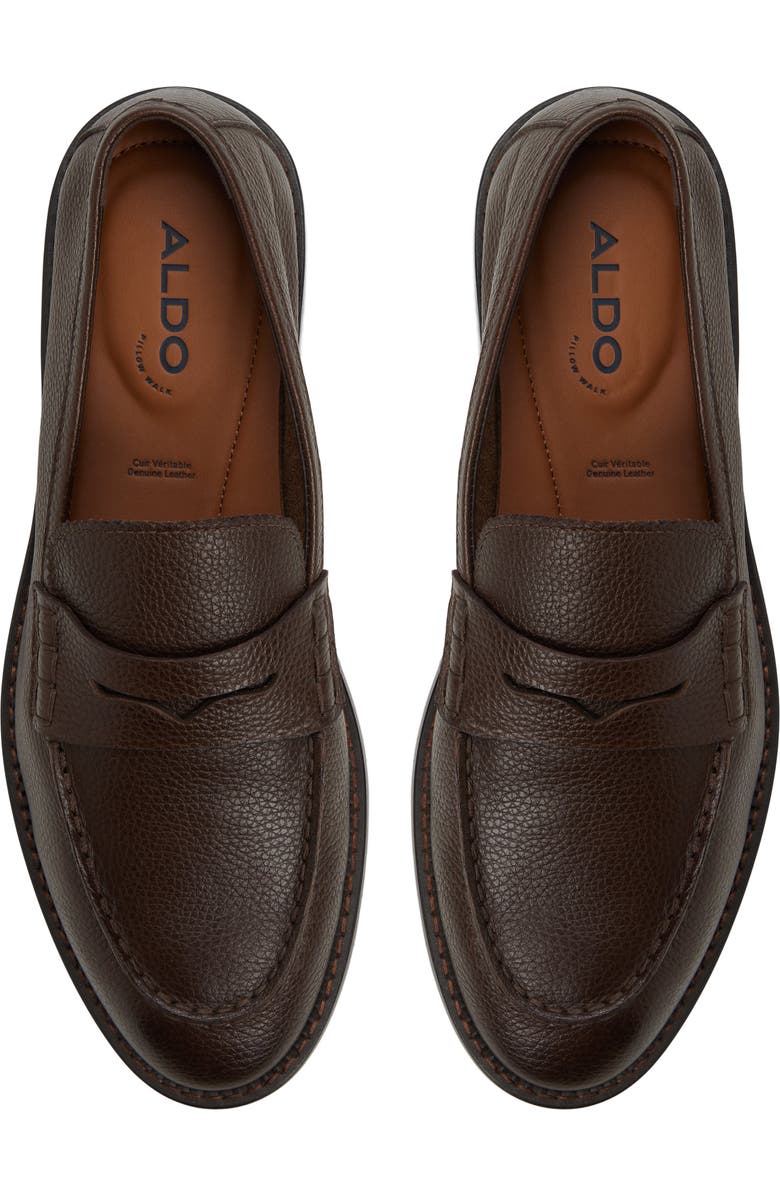 ALDO Melville Penny Loafer, Alternate, color, Dark Brown