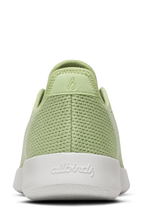ALLBIRDS ALLBIRDS TREE RUNNER SNEAKER