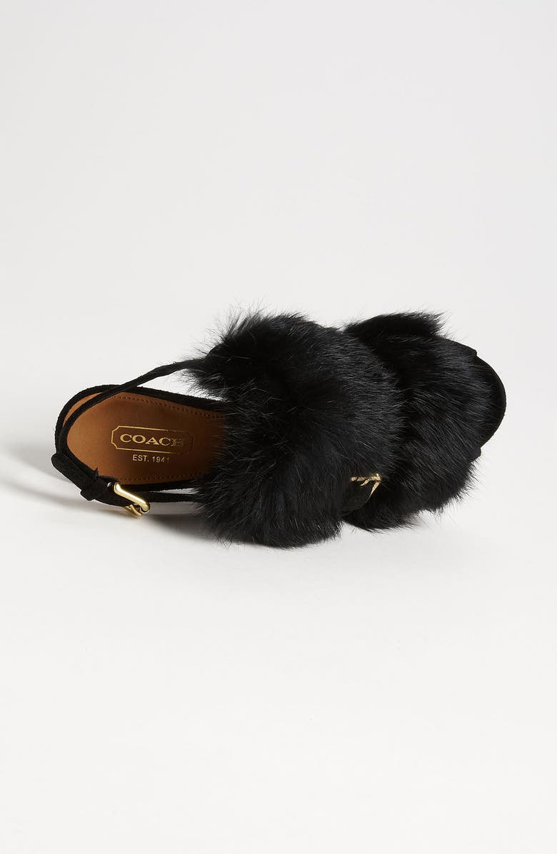 COACH , Alternate, color,