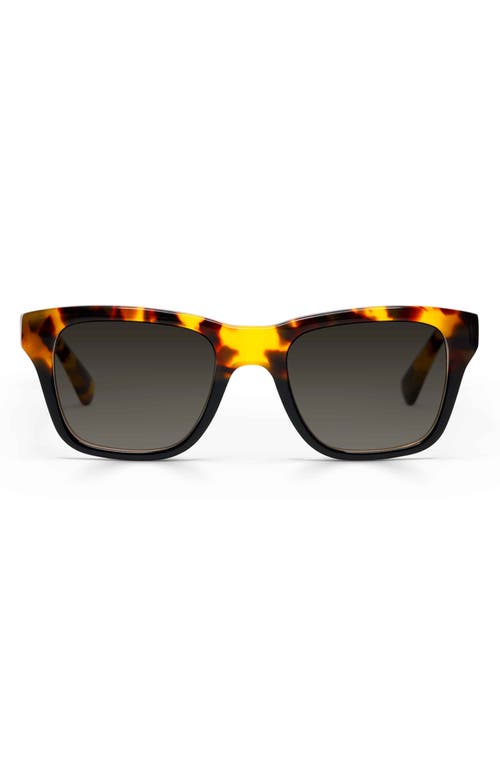 Eyebobs Kvetcher 53mm Square Polarized Sunglasses In Tortoise Black