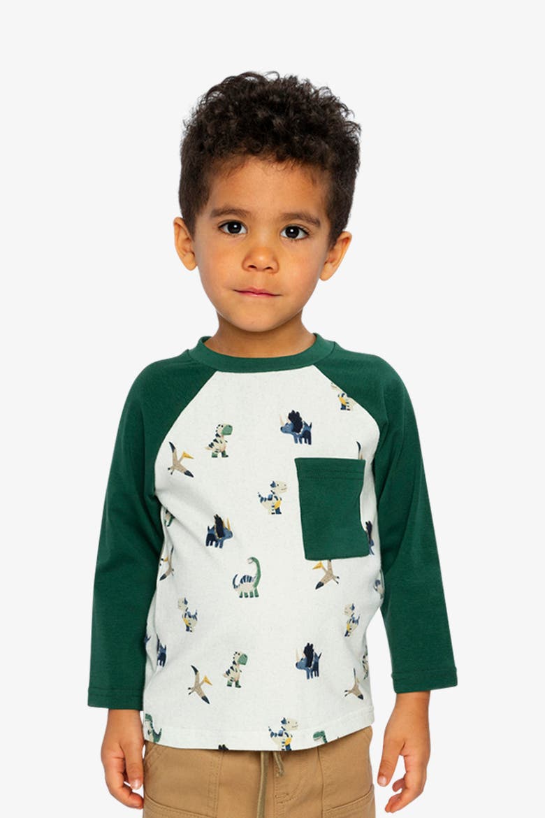 Raglan Dino Allover Crew Neck Long Sleeve T-Shirt, Alternate, color, Beige Dinosaur Print