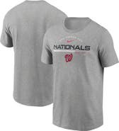 Nike Men's Nike Heather Gray Washington Nationals Team Engineered Performance T-Shirt