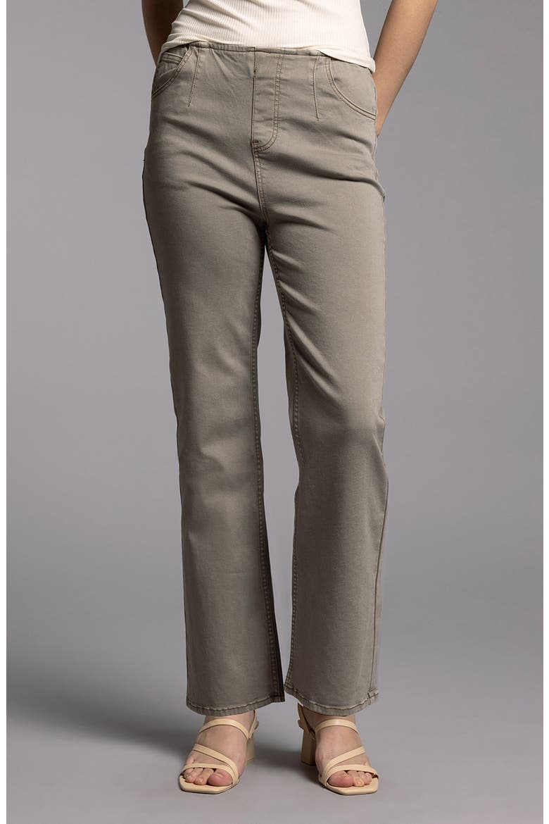Manon Twill Pull-On Pants, Alternate, color, BRINDLE