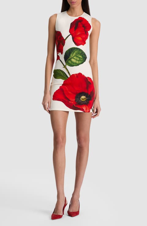Wynell Floral Scuba Knit Minidress