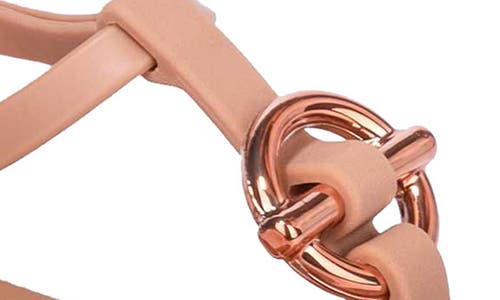 Ipanema Class Belt Ankle Strap Sandal