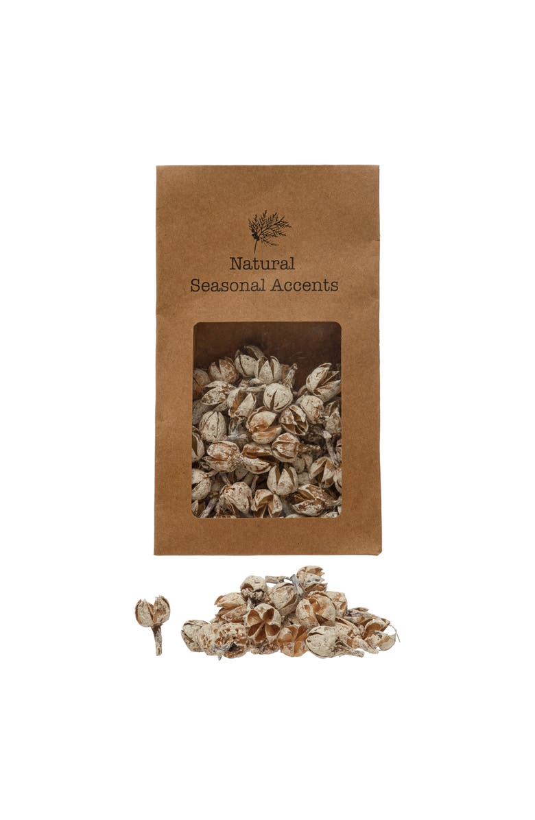 Storied Home 4oz Dried Pods, Main, color, Natural