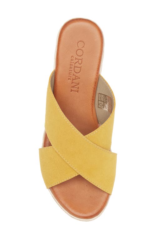 Cordani Braylin Espadrille Wedge Sandal In Mango Suede