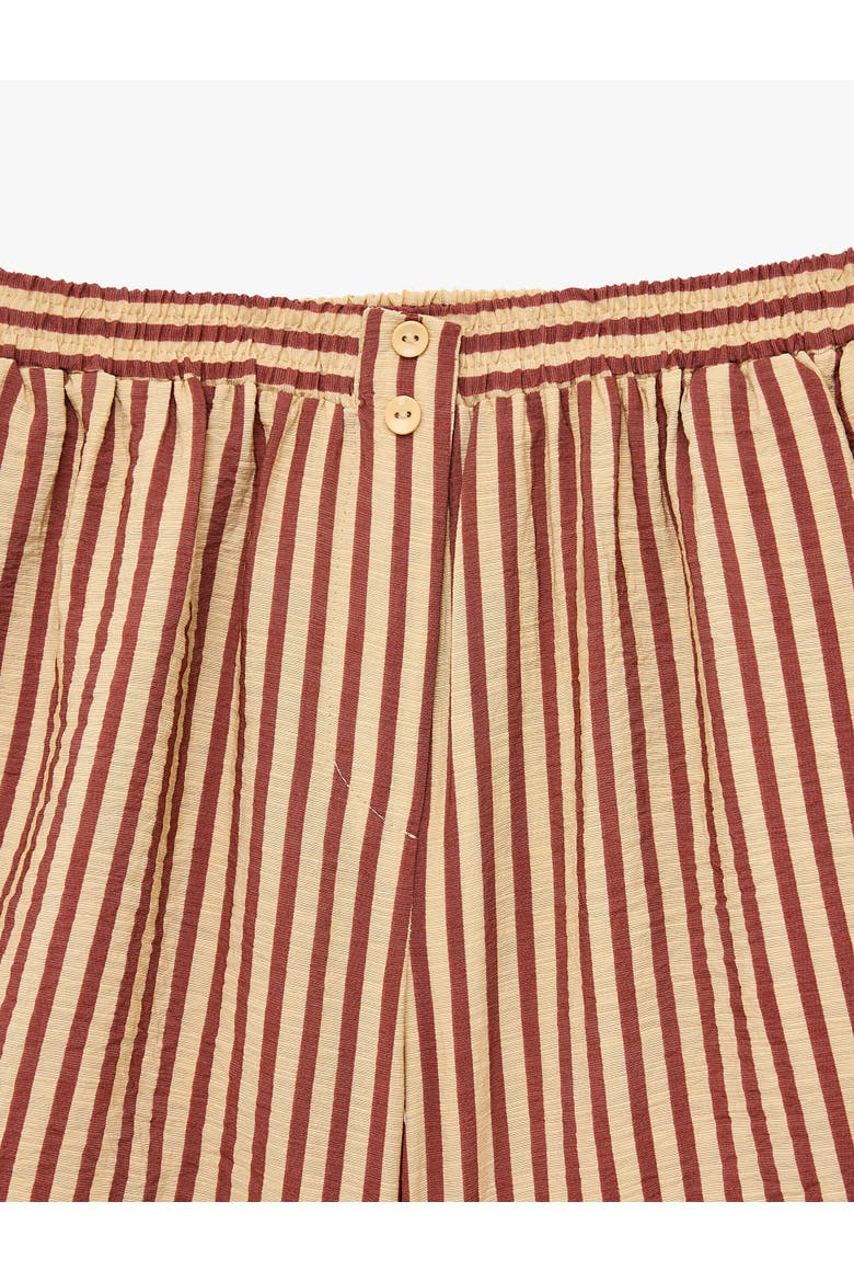 Regular Fit Striped Mini Shorts, Alternate, color, BROWN STRIPE
