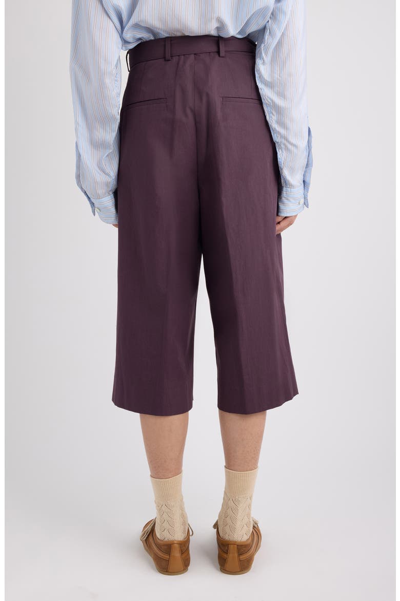 Preaches Belted Pleated Cotton, Alternate, color, DARK PURPLE