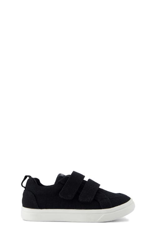 Toms Kids' Cruz Sneaker In Black