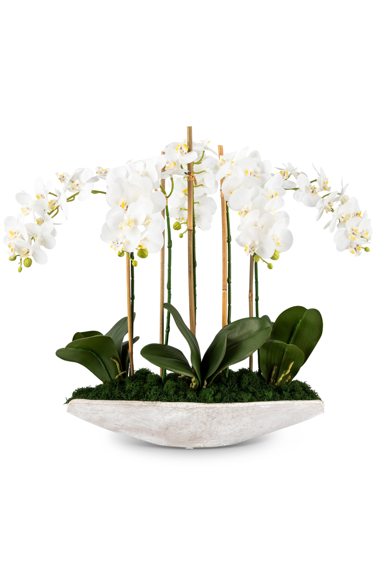 CocoBella Ciara RealTouch Orchid Planter, Main, color, Snow
