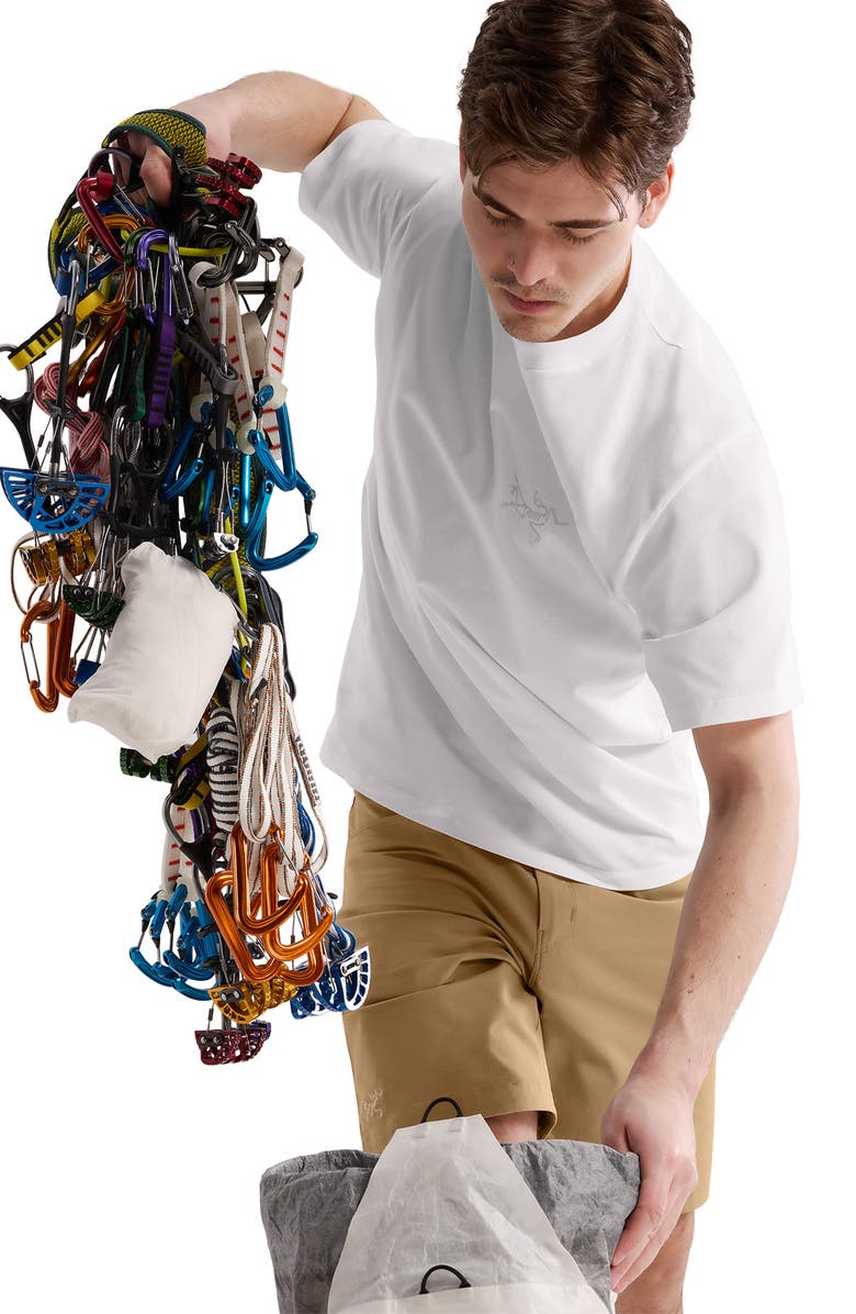 Arc'teryx Kragg Logo Cotton Graphic T-Shirt, Alternate, color, White Light