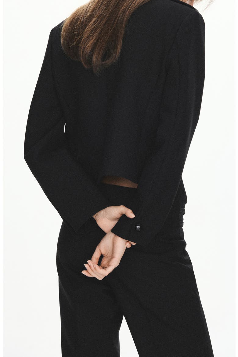 Napoleon Frogging Detail Jacket, Alternate, color, BLACK