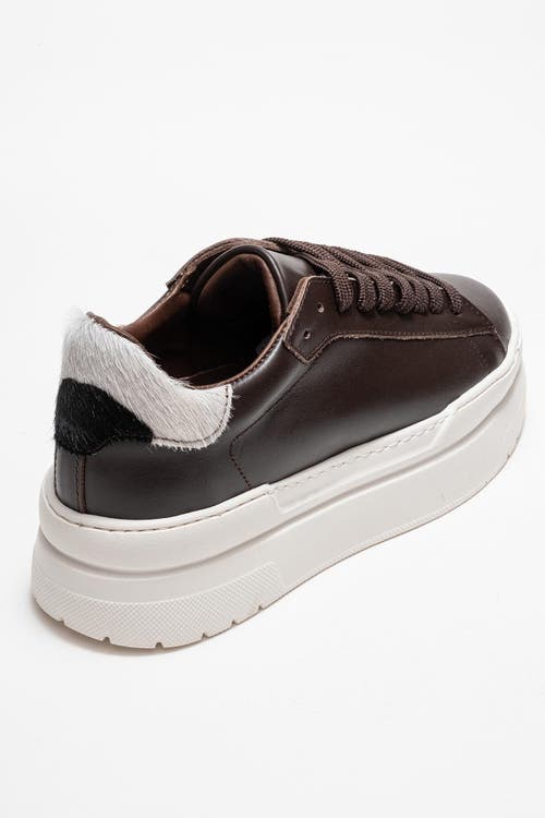 Forever & Always Shoes Anabel Leather Platform Sneakers In Brown