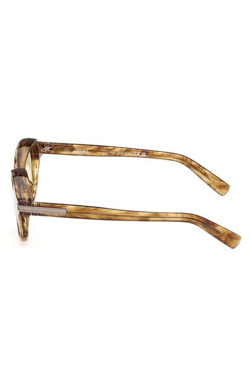 Zegna 50mm Round Polarized Sunglasses In Shiny Transparent Havana