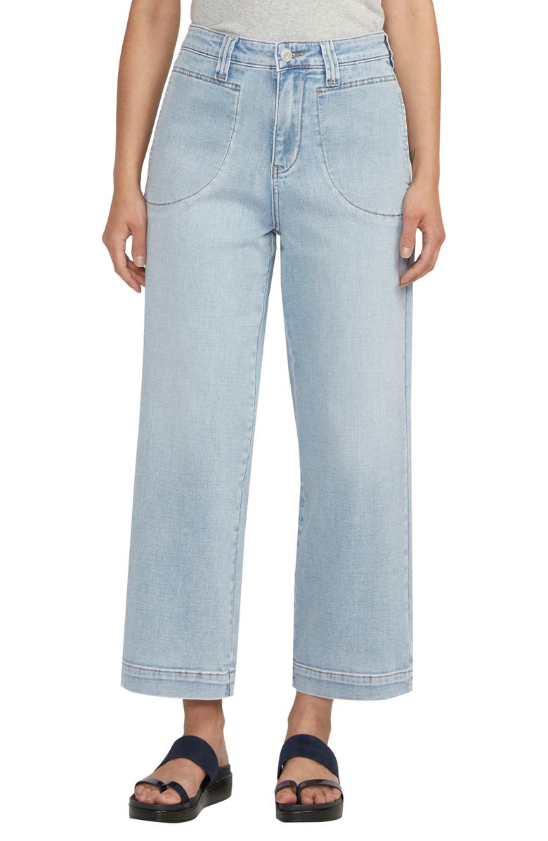 JAG Sophia High Waist Ankle Wide Leg Jeans, Main, color, 