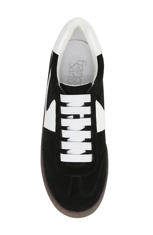 Franco Sarto Ponti Sneaker In Black