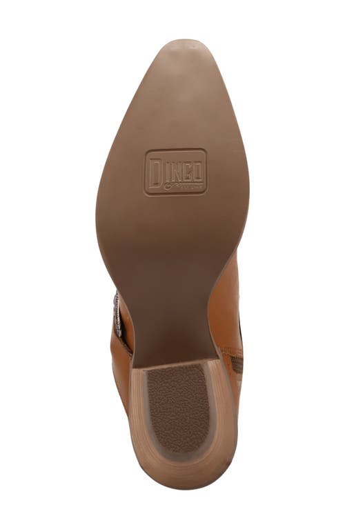 Dingo Saddle Up Western Boot In Brown