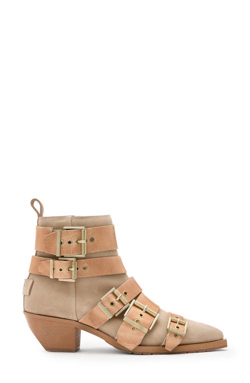 Allsaints Jane Buckle Bootie In Sand Brown