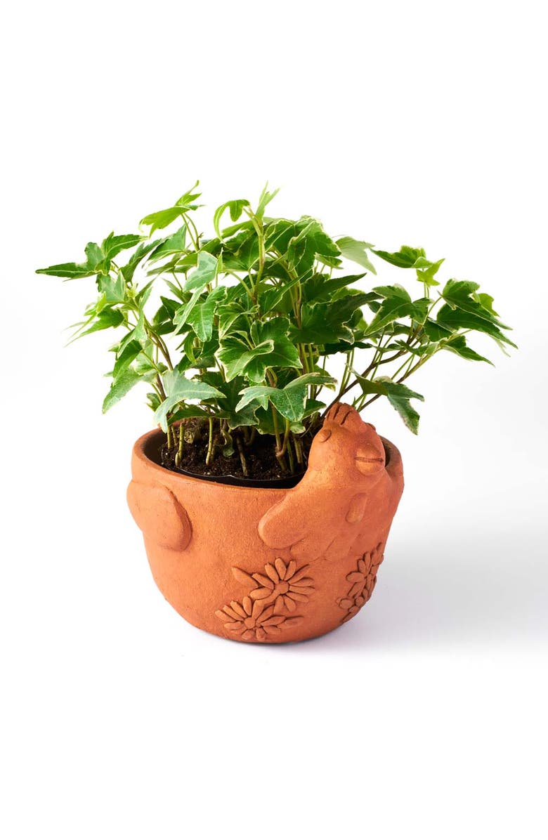 Matr Boomie Rakshana Plant Pot, Main, color, Chicken