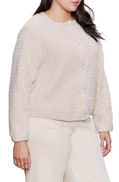 Sanctuary Cozy Cardigan In Neutral