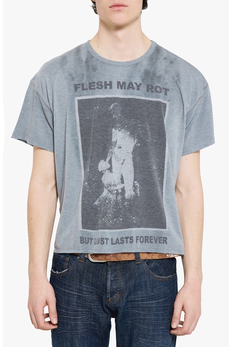 Flesh May Rot Graphic T-Shirt, Main, color, GREY